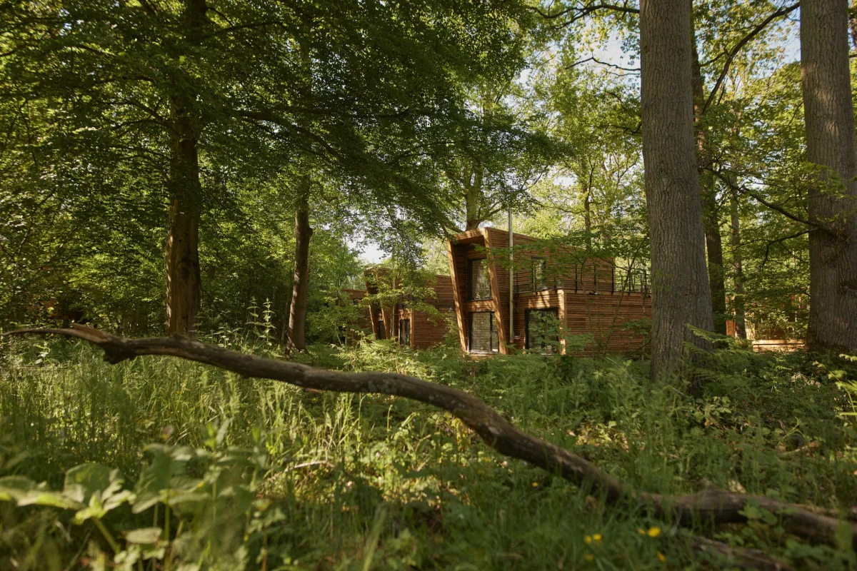 Le cottage aperçu au loin à travers la forêt, dans l'herbe haute du printemps